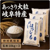【令和7年産】特別栽培米 30kg【玄米】（ハツシモ）