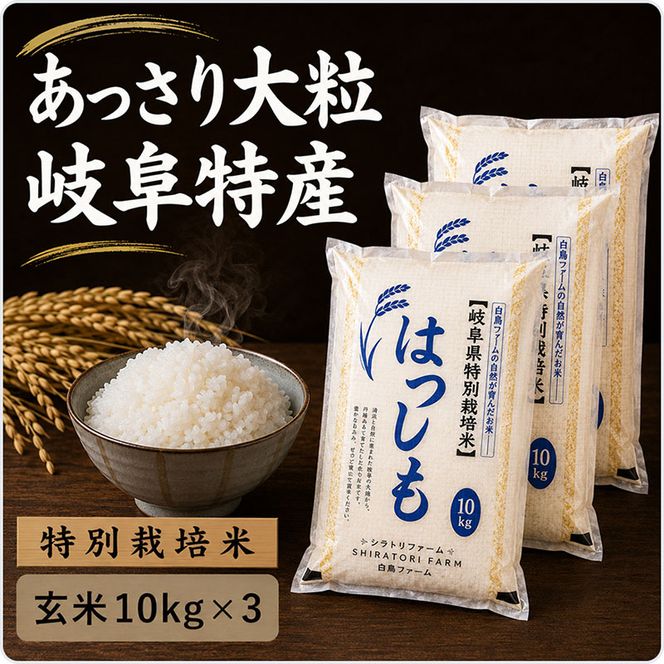 【令和7年産】特別栽培米 30kg【玄米】（ハツシモ）