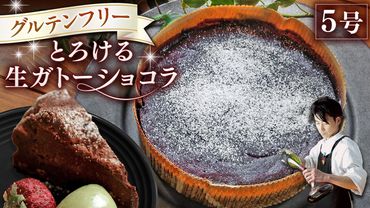 スイーツコンテスト 日本一 シェフ の「 とろける 生 ガトーショコラ 」 5号 手作り ケーキ チョコ チョコレート ショコラ 誕生日 バースデーケーキ 誕生日ケーキ [CF016ci]