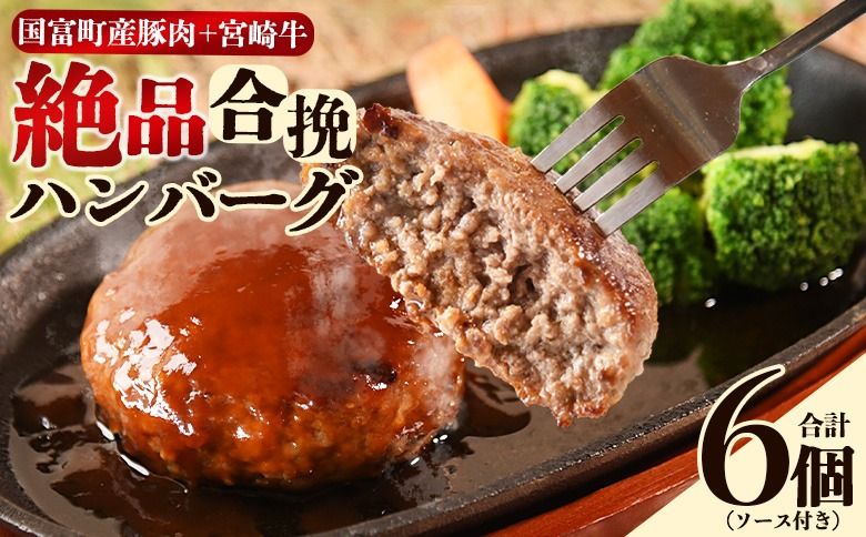 [絶品合挽ハンバーグ 6個]入金確認後、翌月末迄に順次出荷 ソース付き[国富産 豚肉 宮崎牛 ブランド牛 合いびき 合い挽き 160g ぶたにく 牛肉 おかず 一品 焼くだけ 簡単調理 お弁当 お取り寄せ おとりよせ グルメ 贈り物 ご家庭用] [b1102_mk]