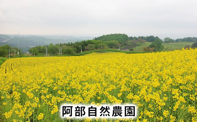 洞爺湖町産 なたね油 3種セット【自然濾過 手間と時間をかけた一番搾り】菜種油 圧搾 北海道  無精製 自然濾過 国産 搾りたて 食用油 植物油 最高級 