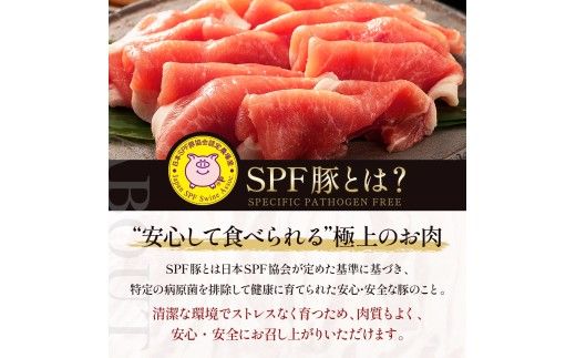 北海道産 SPF豚ロース 1kg×3袋 | 豚肉 ポーク 冷凍 厚さ約3mm 豚 ぶた肉 ブタ肉 豚ロース 肉 お肉 精肉 厚切り 熟成 北海道産 国産 とんかつ ポークソテー ステーキ カツ丼 カツカレー トンテキ 北海道 滝川市