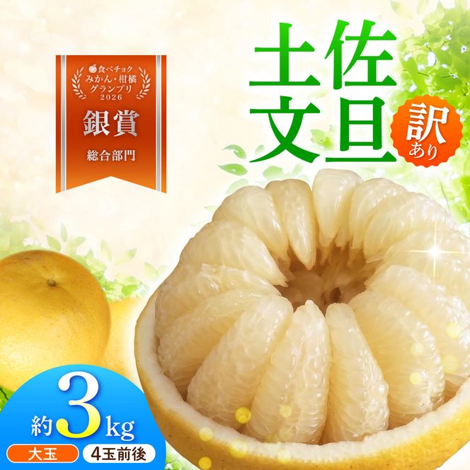 【先行予約】文旦 家庭用大玉 3キロ 3kg（3L～上限なし：4玉前後）〈2027年1月20日～発送〉皮むき器付き 訳あり 文旦 ぶんたん ブンタン 柑橘 フルーツ 果物 高知 土佐市【土佐水谷農園】 [BQBD007]