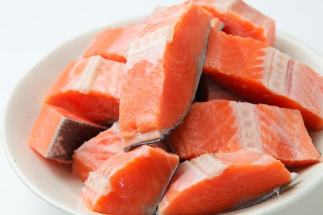 G3710 【お弁当サイズ】銀鮭 切身 約50g×20切れ【小分け 漁師 手切り 1kg さけ サケ 切り身 弁当 朝食 時短 訳あり サイズ不揃い 規格外 冷凍食品】