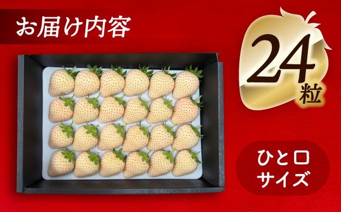 【先行予約】 ＼毎年1月より順次発送／ 白いちご　White Fairy 24粒 果物 いちご フルーツ 愛西市 / くぼ苺農園 【配達不可：北海道・沖縄・離島】[AECJ018]