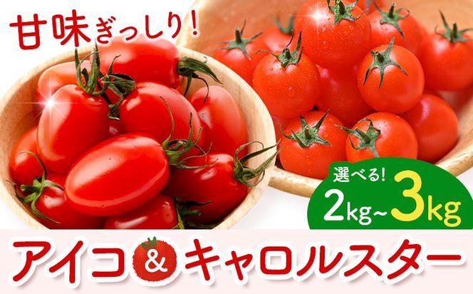 ミニトマト アイコ＆キャロルスター 選べる 種類 内容量 約2kg 約3kg ますだふぁーむ《7月上旬-11月末頃出荷》熊本県 南阿蘇村 アイコトマト キャロルスター 野菜 旬 夏野菜 トマト---sms_msf_af711_r7_11000_2kg---