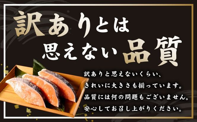 kgp0125 銀鮭 切り身 1kg 9切れ前後【お試し TVで紹介 訳あり サイズ不揃い 海鮮 魚介 鮭 さけ しゃけ お弁当 簡単調理】