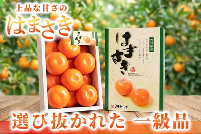 【2027年2月上旬より発送開始】【麗紅】はまさき 2.5kg【みかん 一級品 柑橘 フルーツ デザート】(H116144)