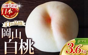 【2026年先行予約】 岡山白桃 3.6kg 訳アリ 白桃 花田青果【6月下旬～7月下旬まで順次発送予定】/ 桃 もも モモ 果物フルーツ 訳あり品 岡山県【hnds004】