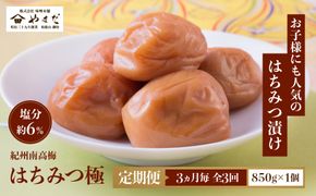【定期便・3ヵ月毎 全3回】紀州南高梅 はちみつ極 850g ［YM10］ 303446_DX90026