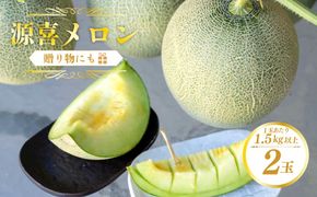 【先行予約】野木源の源喜メロン 2玉入り（2026年7月下旬～発送） ふるさと納税 メロン 果物 フルーツ めろん melon meron 京都 丹後 2026 2026年 農家応援 生産者応援 送料無料　NO00017