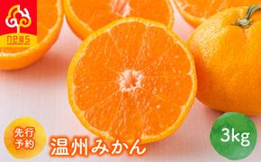 【先行予約】温州みかん 3kg（2026年11月上旬より順次発送）IKTF032