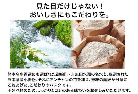 御船町 福永幸山堂のそらいろパスタ 選べる 2セット 3セット 6セット《60日以内に出荷予定(土日祝除く)》熊本県 御船町 福永幸山堂 パスタ 青いパスタ---sm_sorapt_60d_25_7500_2p---