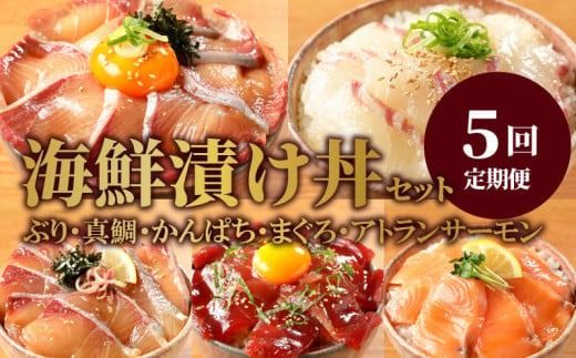 日向灘 お魚の漬け丼 バラエティ 5回 定期便　N019-YE097