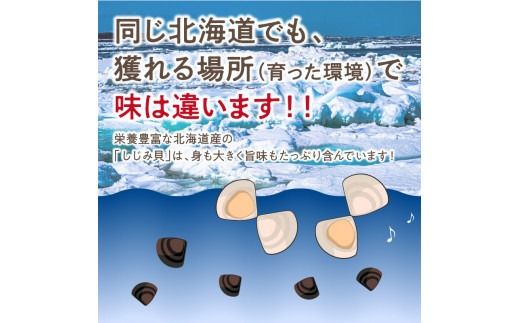 《14営業日以内に発送》北海道産 冷凍しじみ 500g×3袋 ( 魚介類 貝類 しじみ シジミ 1.5キロ 冷凍 カルシウム ビタミンB12 タウリン 鉄分 味噌汁 )【114-0008】