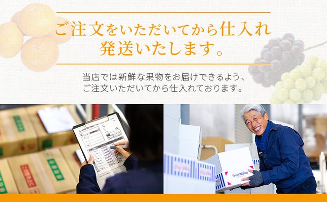【12月出荷】 お歳暮対応！ 袋井市産 クラウンメロン 2個 白等級 1.3kg クラウン メロン めろん 白等級 静岡県 静岡 袋井市 贈答 高級 フルーツ 果物 お歳暮対応可