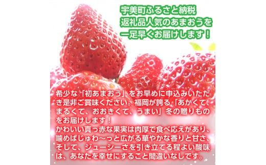 【期間限定発送】 いちご あまおう 冬あまおう 270g以上 2p 計540g以上 [ストロベリーファーム 福岡県 宇美町 um40azp070002] イチゴ 苺 フルーツ 果実 甘い 小分け