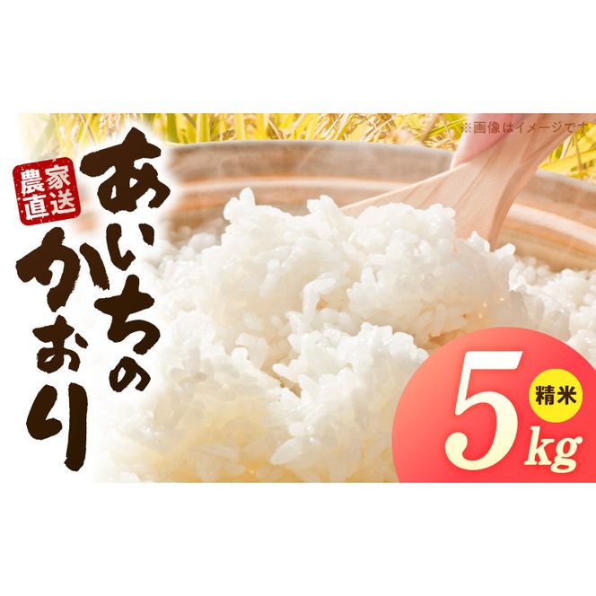 R7年産　「あいちのかおり」（5kg）＜農家直送＞ ［208K13］ 5kg 米 精米 白米 ご飯 国産 産地直送 ふくよかな甘み ほどよい粘り お取り寄せ 愛知県 小牧市 送料無料