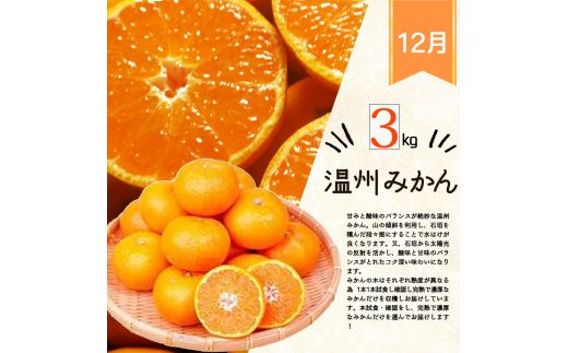 【全4回】紀州和歌山産旬のフルーツセット(巨峰・シャイン・みかん・不知火) / 果物定期便 フルーツ定期便 みかん オレンジ 柑橘 くだもの 果物 シャイン マスカット【tkb399】