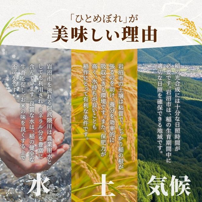 【 令和7年産/ 6ヶ月連続定期便 】無洗米 ひとめぼれ 5kg × 6回 岩沼産 白米 東北 宮城県産 宮城米