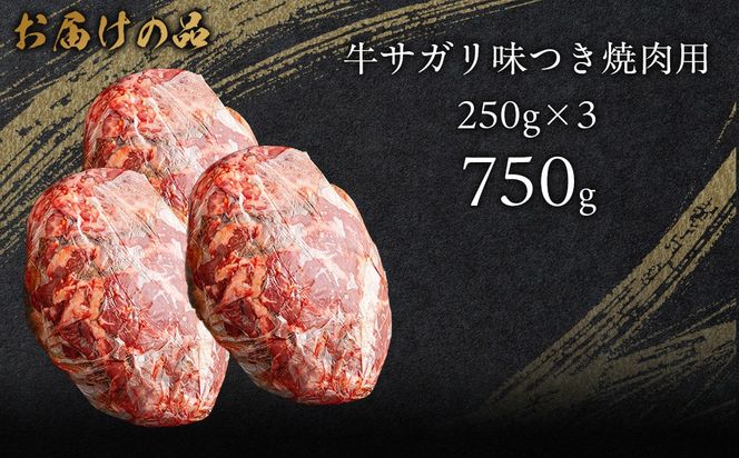 牛サガリ味つき焼肉用 750g (250g×3)  MROBM028