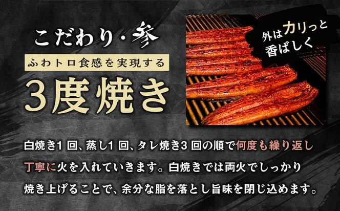 国内産うなぎ蒲焼８尾！Y006