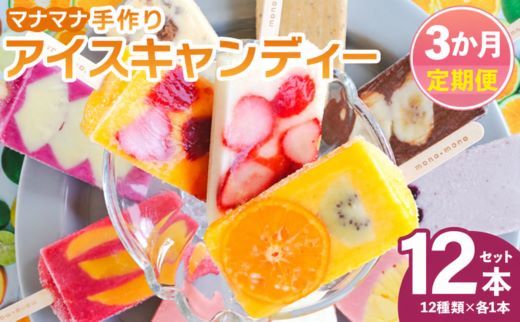 アイス 【３回定期便】手作りアイスキャンデー 12本セット Wys-0031