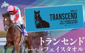 【トランセンド】シャーリングフェイスタオル BRTV155