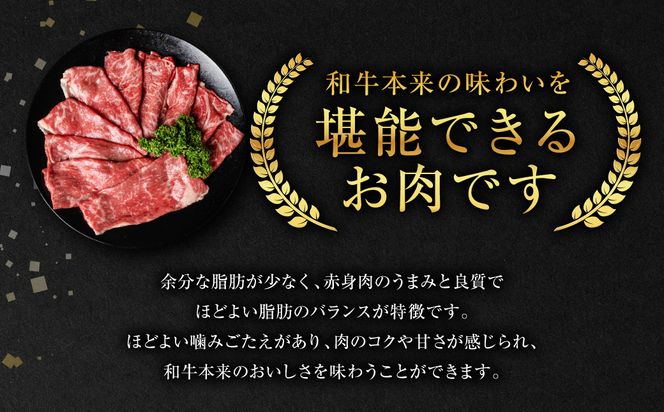 【GI認証】 くまもとあか牛 すき焼き用 500g お肉 牛 すき焼き 赤身 和牛 牛肉 和牛 褐毛和牛 国産 国産和牛 冷凍 