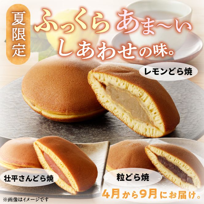 どら焼き　季節のセット ［009B14］ 和菓子 スイーツ デザート お取り寄せ 春セット 夏セット 秋セット 桜葉 レモンピール 栗きんとん りんご蜜漬 名古屋コーチン卵 備中白小豆 北海道産小豆 愛知県 小牧市 送料無料