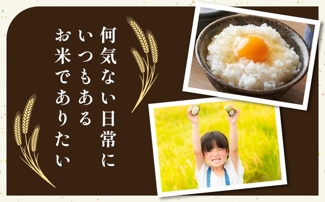 186.日置さん家のお米「ミルキークイーン」3kg×3袋【精米・2025年産】 313726_AE021VC01