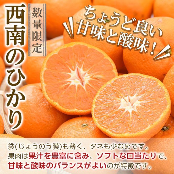 ＜先行予約受付中！2026年12月以降順次発送予定＞＜期間・数量限定＞西南のひかり(約5kg) 国産 鹿児島県 阿久根市 果実 果物 フルーツ 柑橘 みかん ミカン デザート 酸味 甘味 期間限定 数量限定【桐野柑橘株式会社】akn070-07