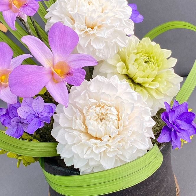 プリザーブドフラワー　誉（ほまれ）　春日部市　シュガーパイン(AJ263)