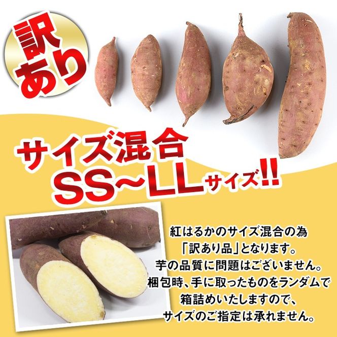 isa878 《訳あり》熟成紅はるか(約15kg・SS～LLサイズ混合) 訳あり さつまいも 紅はるか 鹿児島 生芋 完熟 長期熟成 土付き べにはるか サツマイモ 焼き芋に 【いさ工房】