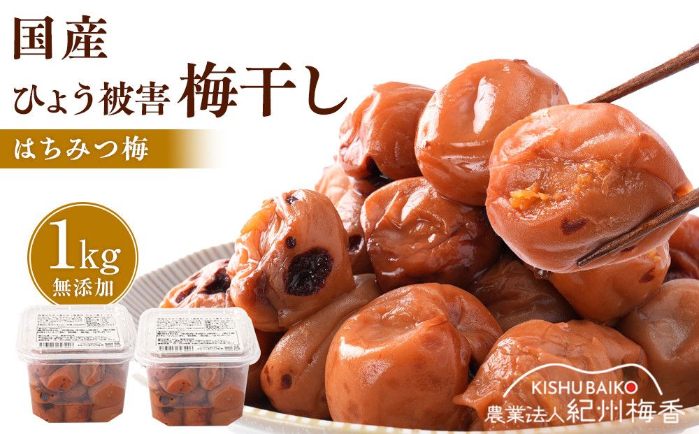 無添加梅干し ひょう被害エール規格外はちみつ梅干し 1kg(500gパック×2個) 塩分6% 甘酸っぱい 蜂蜜漬け 6-HYO [KU12] 303446_ED90011