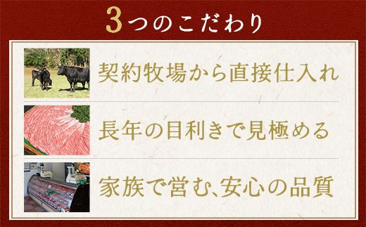 【4等級以上】【近江牛　ウデ】すき焼・しゃぶしゃぶ用【500ｇ】【BI02W】