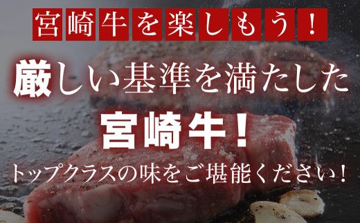 宮崎牛ヒレブロック500g_22-8905_( 都城市 ) 牛肉 宮崎県産 宮崎牛 真空パック ヒレブロック 高級部位 枝肉の3％ 希少な部位 やわらか 脂肪分が少ない お好みサイズ カット 
