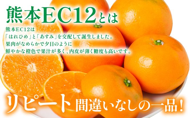 【先行予約】 八代市東陽町産の 「熊本EC12みかん」 約3kg みかん 柑橘 フルーツ 果物 果実 ミカン 蜜柑 熊本県 八代市 【2026年12月上旬より順次発送】