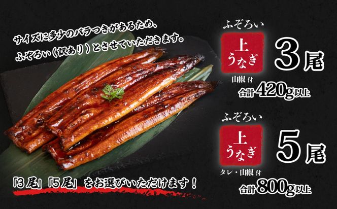 うなぎ 国産 蒲焼 山椒付き 特上2尾 570g以上 / 3尾 420g以上  / 5尾 800g以上 父の日 お中元 お歳暮