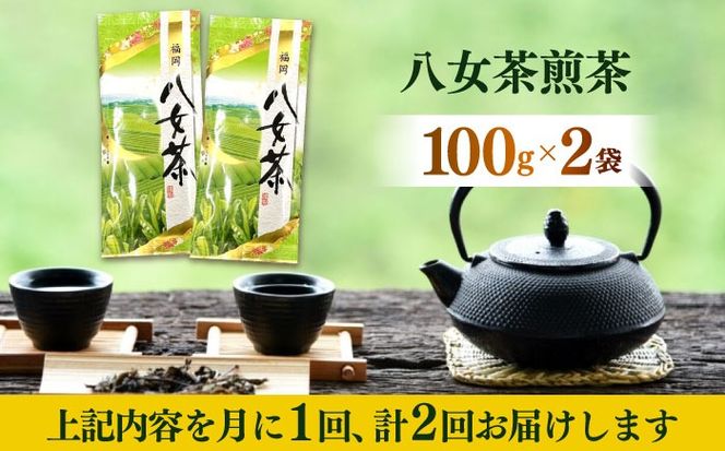 【全2回定期便】八女茶煎茶 100g×2袋《築上町》【株式会社木村食品(千代海苔株式会社)】お茶 茶 緑茶 ギフト[ABEI035]