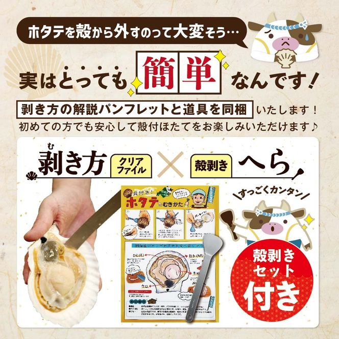 【先行予約】北海道野付産活ホタテ 3kg（10枚前後）【KO0000001】