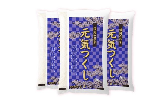 令和7年産　福岡県　元気つくし　15kg（5kg×3袋）《築上町》【カネガエ】[ABFA006]