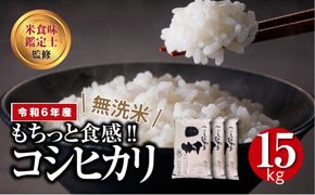 【 無洗米 】 令和6年産 田村産 コシヒカリ 15kg ( 5kg × 3袋 )  精米 白米 贈答 ギフト プレゼント 美味しい 米 kome コメ ご飯 ブランド米 精米したて お米マイスター 匠 食味鑑定士 福島 ふくしま 田村 安藤米穀店 N010-MK-007