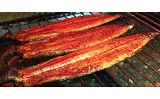 【国産　大型サイズ】ふっくら柔らか国産うなぎ蒲焼き　約２人前　化粧箱入 【uot714A】