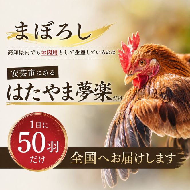 土佐ジロー 鶏肉 1羽セット カット詰め合わせ 選べる 1回 3回 6回 12回 定期便 肉 鶏もも 鶏むね ささみ ブランド鶏 パック 地鶏 唐揚げ おかず おつまみ から揚げ からあげ とりもも とりむね とり肉 鳥肉 セット ギフト 贈答用 おすすめ 人気 お取り寄せ ランキング 1万円 10000円以下 はたやま夢楽 安芸市 高知県