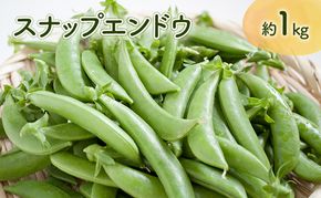【先行予約】 2026年《収穫次第順次発送》  富良野市産 スナップえんどう 1kg 野菜 旬 新鮮 富良野 エンドウ 豆 スナックエンドウ スナップ えんどう豆 ふらの 畠山農園