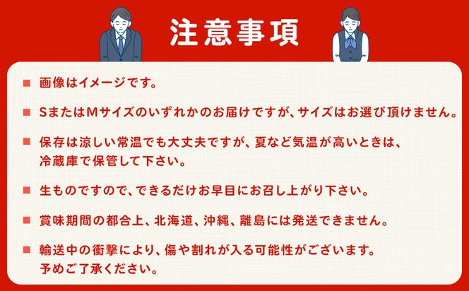 ［2026年4月出荷分］和歌山産ミニトマト「アイコトマト」約1kg（S・Mサイズおまかせ）［TM231］ 303446_XH92279VC04