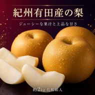 ジューシー果汁の紀州有田産の梨約２kg 　化粧箱入【先行予約】【2026年8月中旬以降発送予定】 AN029