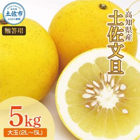 土佐文旦（ぶんたん）（大玉：２Ｌ～５Ｌ混合）約５ｋｇ【株式会社とさもん（土佐市）】 文旦 5キロ 約7～10玉