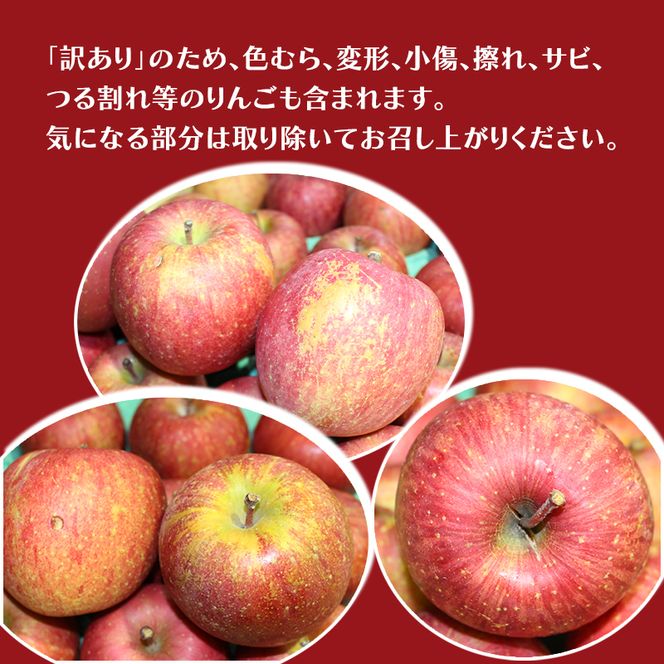 【平均糖度13度以上】3月発送 家庭用 訳あり CA貯蔵 サンふじ 約 3kg りんご リンゴ 林檎 果物 フルーツ わけあり 青森